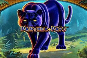 Panther Pays - SIGMANET77