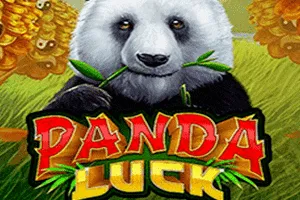Panda Luck - SIGMANET77