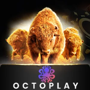 Octoplay - SIGMANET77