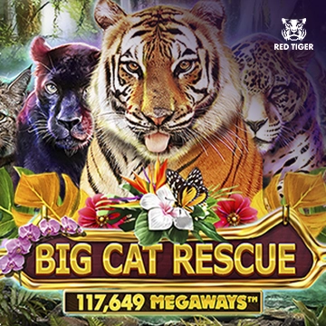 Big Cat Rescue Megaways - SIGMANET77