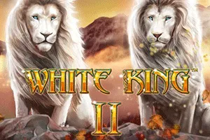 White King II - SIGMANET77