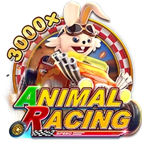 Facai : ANIMAL RACING - SIGMANET77