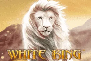 White King - SIGMANET77