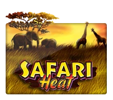 Joker123 : Safari Heat - SIGMANET77