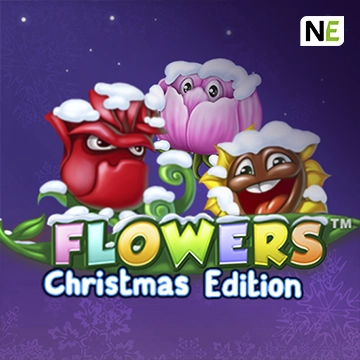 Flowers Christmas Edition - SIGMANET77
