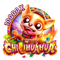 Facai : CHILIHUAHUA - SIGMANET77