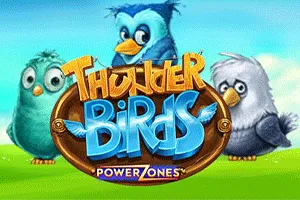 Power Zones: Thunder Birds - SIGMANET77