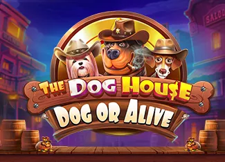 The Dog House - Dog or Alive - SIGMANET77