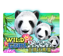 Joker123 : Wild Giant Panda - SIGMANET77