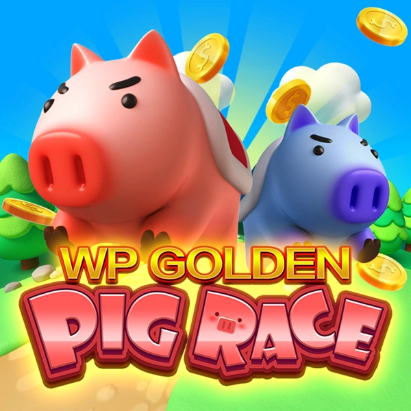 WP Golden Pig Race - SIGMANET77