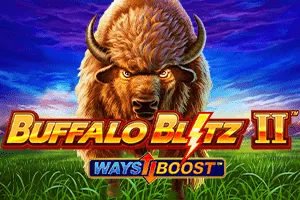 Buffalo Blitz II - SIGMANET77