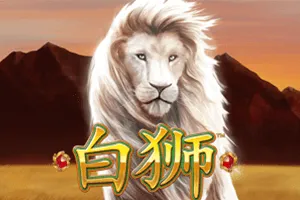 Bai Shi - SIGMANET77