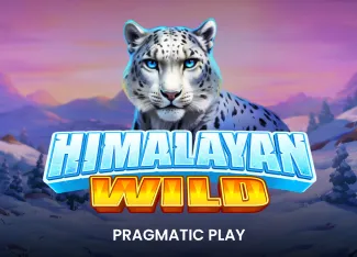 Himalayan Wild - SIGMANET77