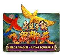 Bird Paradise - SIGMANET77