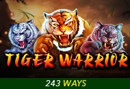 Tiger Warrior - SIGMANET77