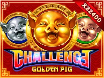 PLAYSTAR : FEATURE BUY・GOLDEN PIG - SIGMANET77