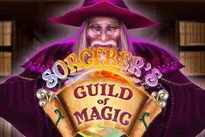 Sorcerers Guild of Magic - SIGMANET77