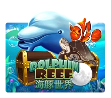 Joker123 : Dolphin Reef - SIGMANET77