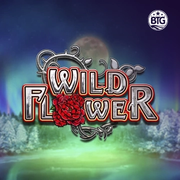 Wild Flower - SIGMANET77