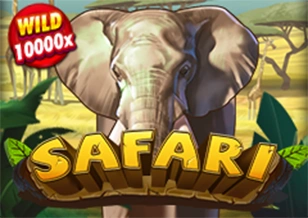 Safari - SIGMANET77