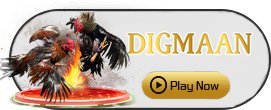Digman - SIGMANET77